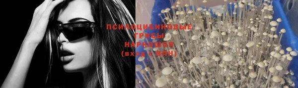 экстази Богородицк