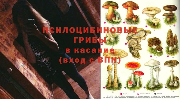 COCAINE Богданович