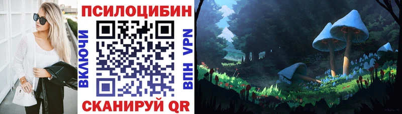 блэк спрут ссылка  Кувшиново  Псилоцибиновые грибы Magic Shrooms  где купить  
