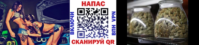 Бошки марихуана Amnesia  где найти   Кувшиново 